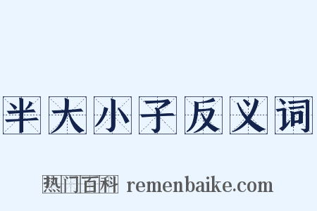 半大小子反义词是什么意思的图片